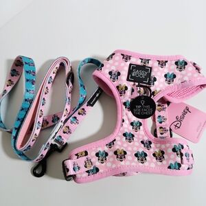 Sassy Woof Disney Minnie Mouse Harness and Matching Leash Size Small